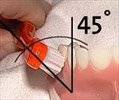 Zahnbürste 45° zur Zahnachse